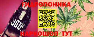 тгк Бузулук